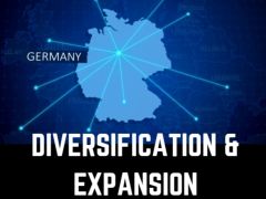 Business Diversification for Industrial SMEs: A Four-Stage Process